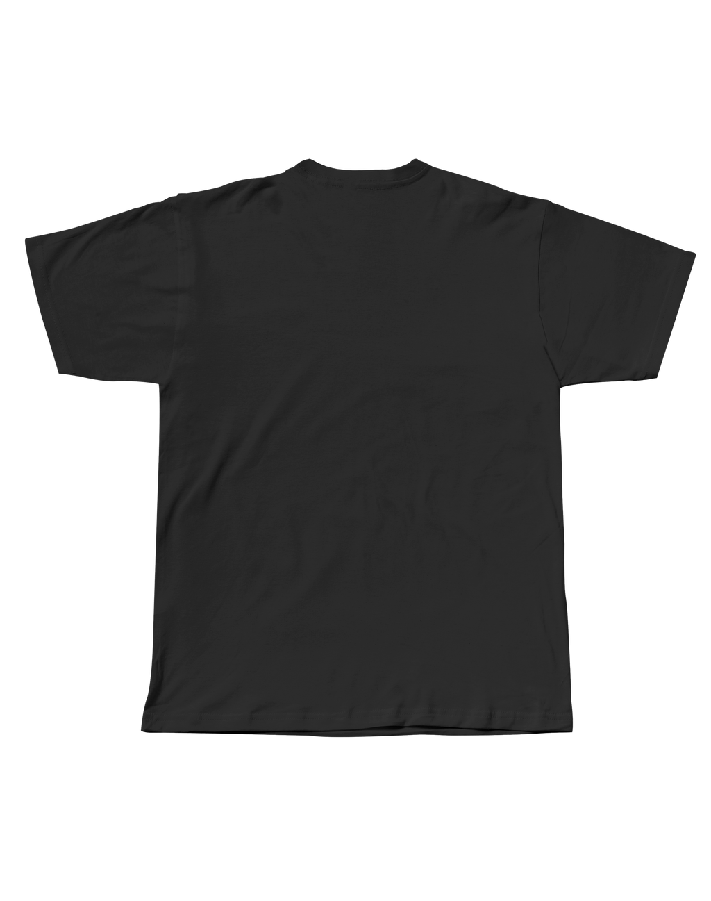 FALLEN - REGULAR FIT UNISEX TSHIRT