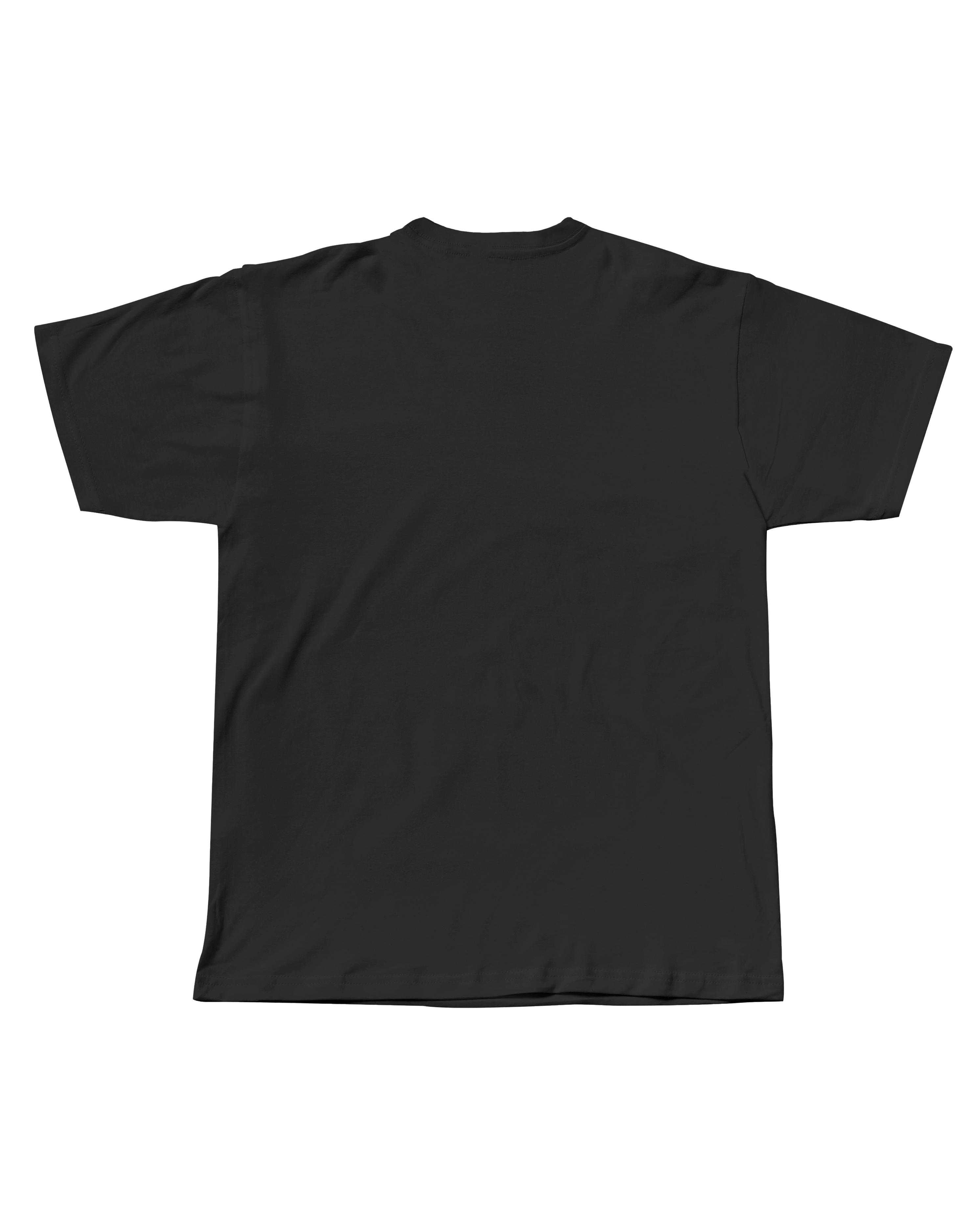 FALLEN - REGULAR FIT UNISEX TSHIRT