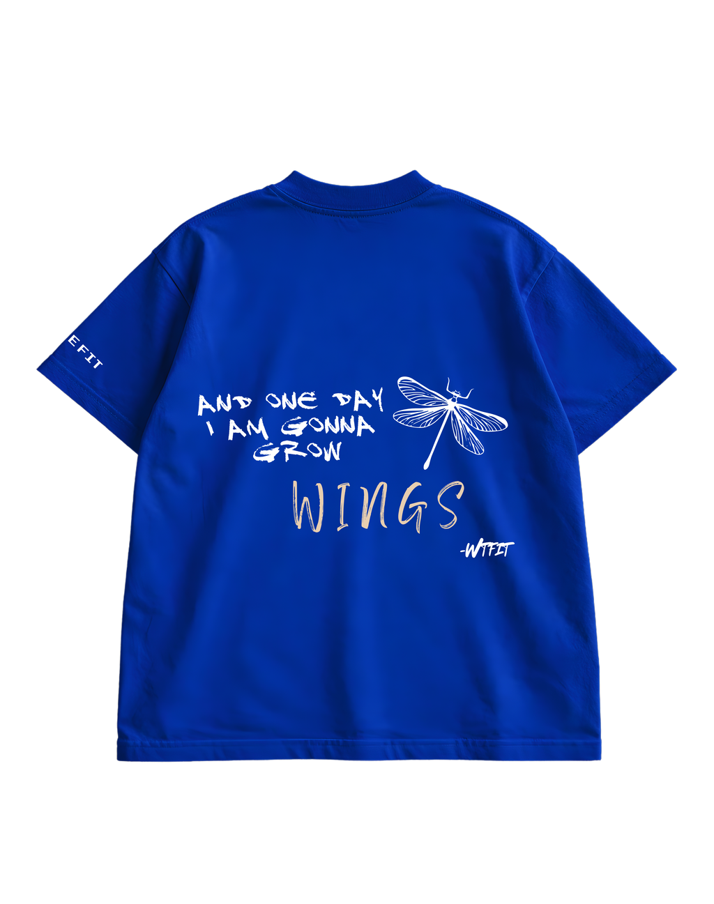 RADIOHEAD - BLUE OVERSIZED TEE